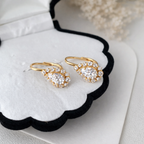 Sterling Silver Water Drop Crystal Earrings